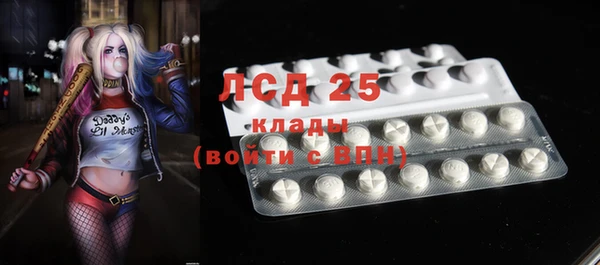 ГАЛЛЮЦИНОГЕННЫЕ ГРИБЫ Волосово