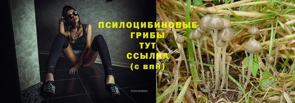 ГАЛЛЮЦИНОГЕННЫЕ ГРИБЫ Волосово